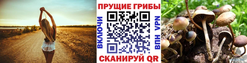 Галлюциногенные грибы мухоморы  даркнет сайт  Сорочинск 