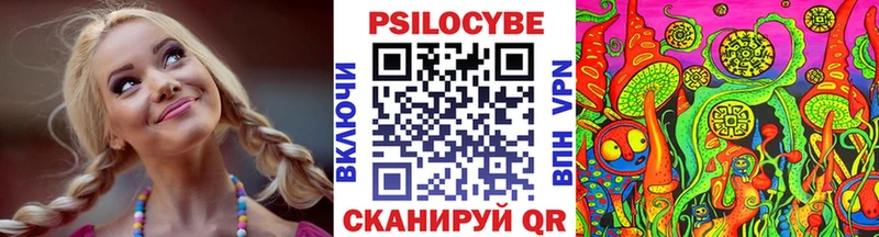 Псилоцибиновые грибы Psilocybe Сорочинск